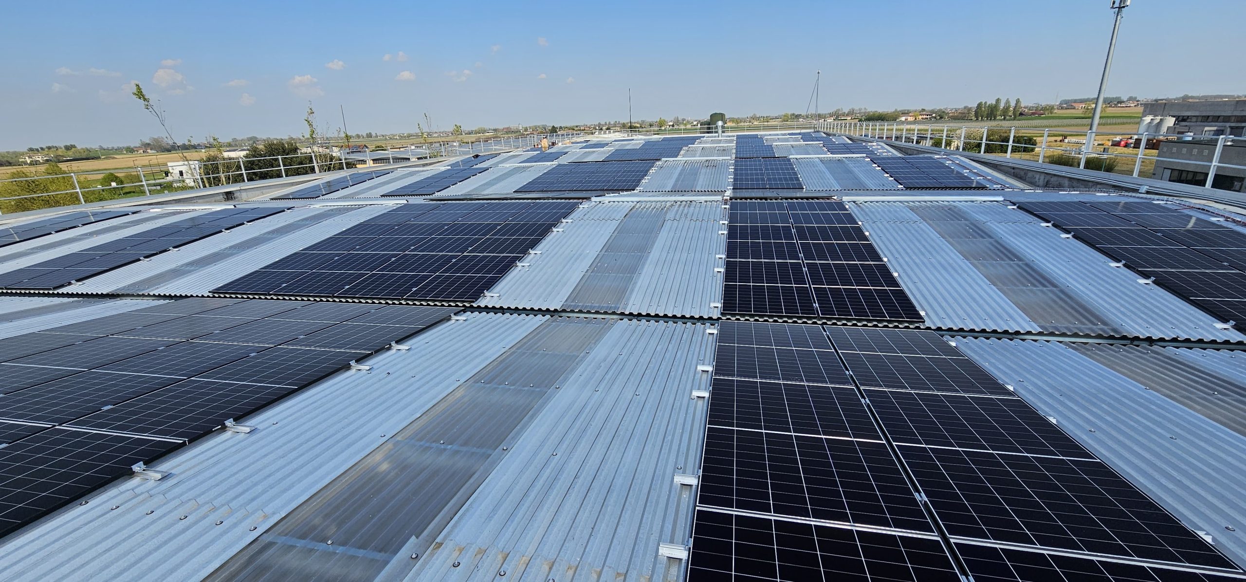 WhatsApp Image 2025-04-04 at 13.28.28 (3)