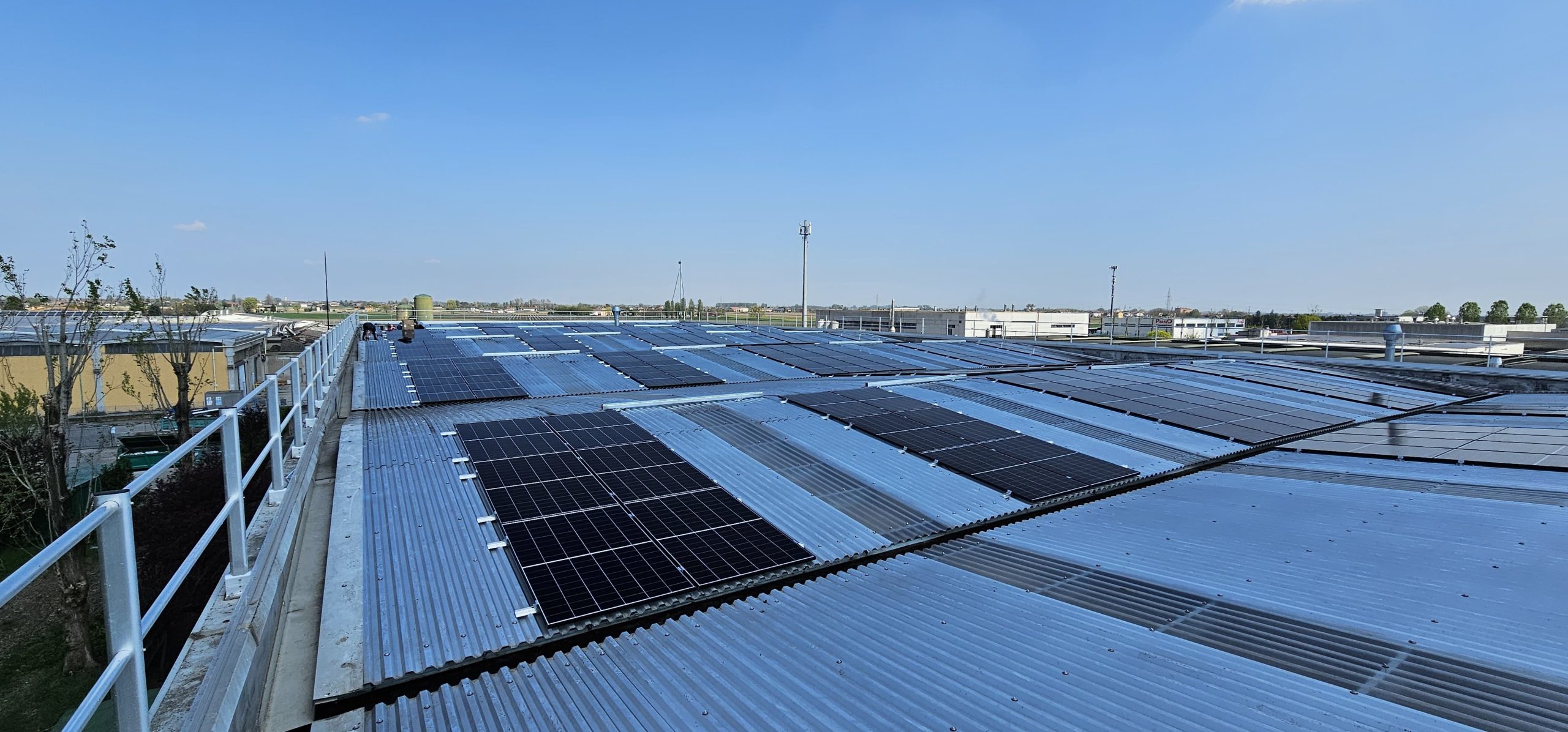 WhatsApp Image 2025-04-04 at 13.28.31 (3)