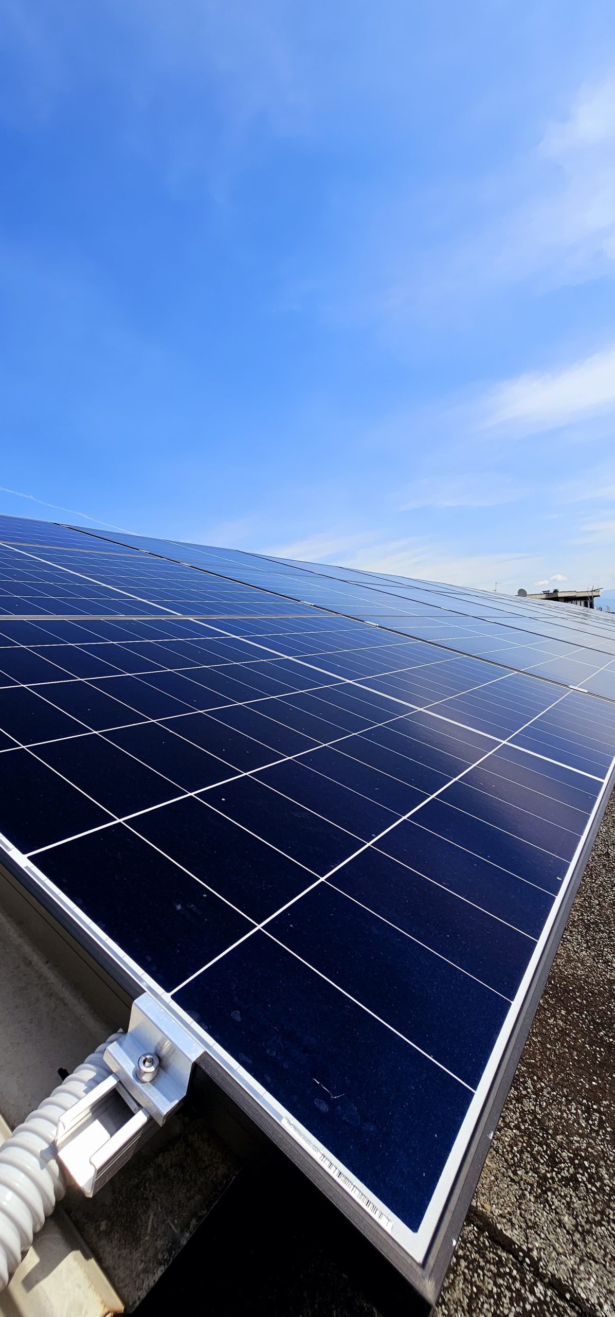 WhatsApp Image 2025-07-22 at 10.59.11