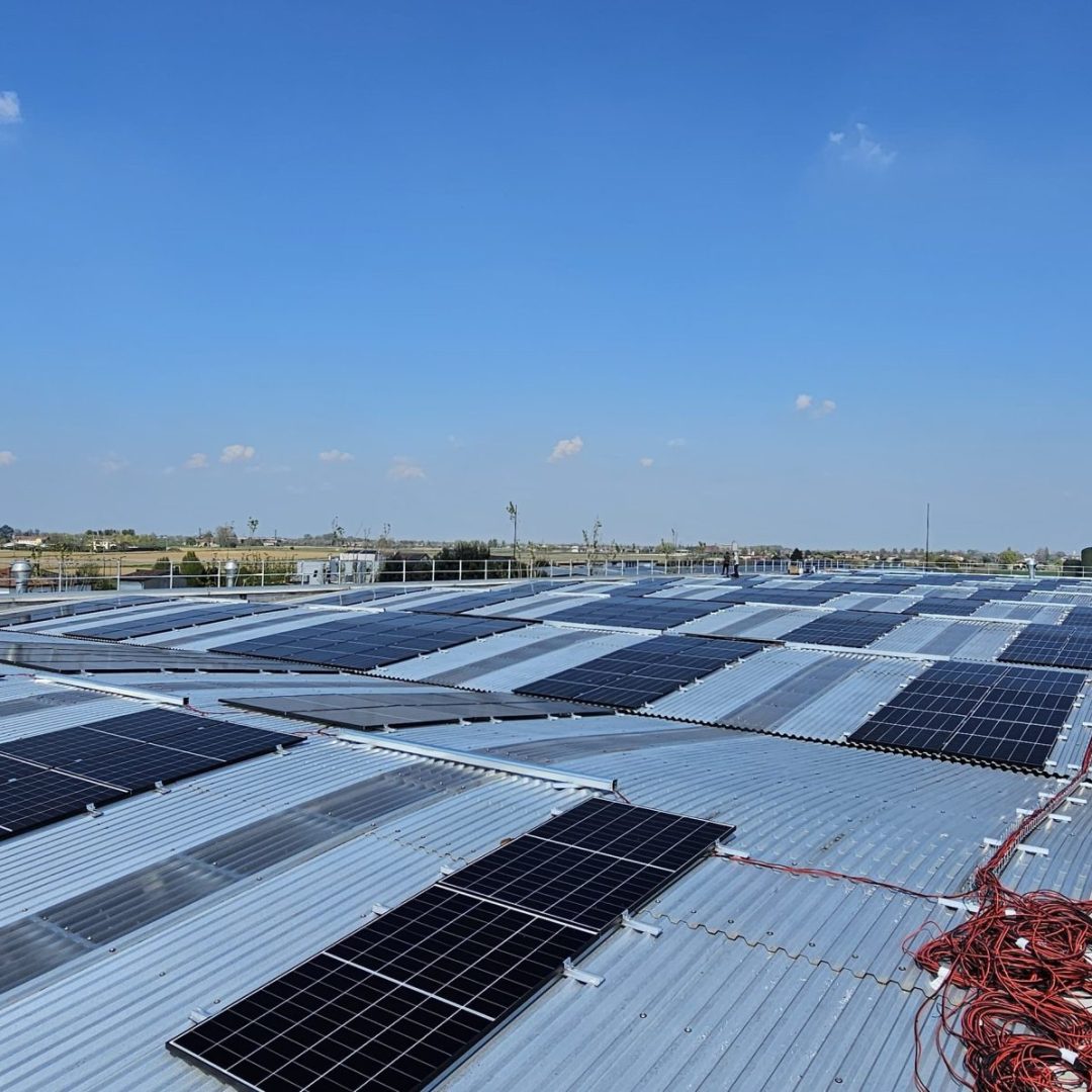 WhatsApp Image 2025-04-04 at 13.28.26 (1)