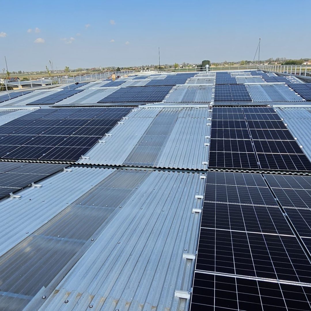 WhatsApp Image 2025-04-04 at 13.28.28 (3)