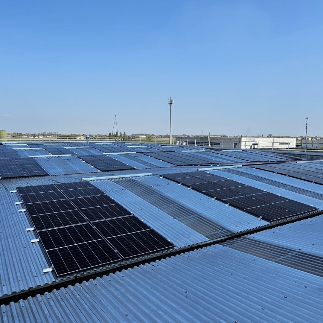 WhatsApp Image 2025-04-04 at 13.28.31 (3)