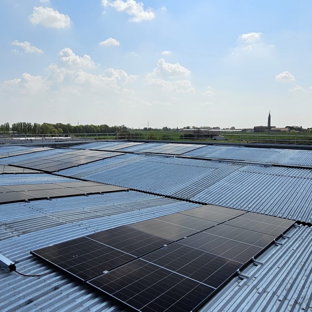 WhatsApp Image 2025-04-04 at 13.28.31 (4)