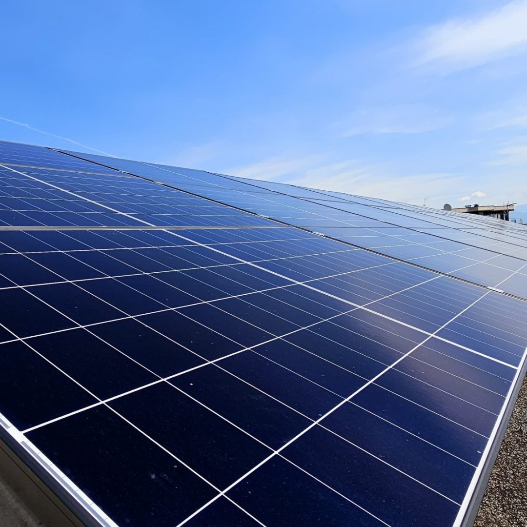 WhatsApp Image 2025-07-22 at 10.59.11