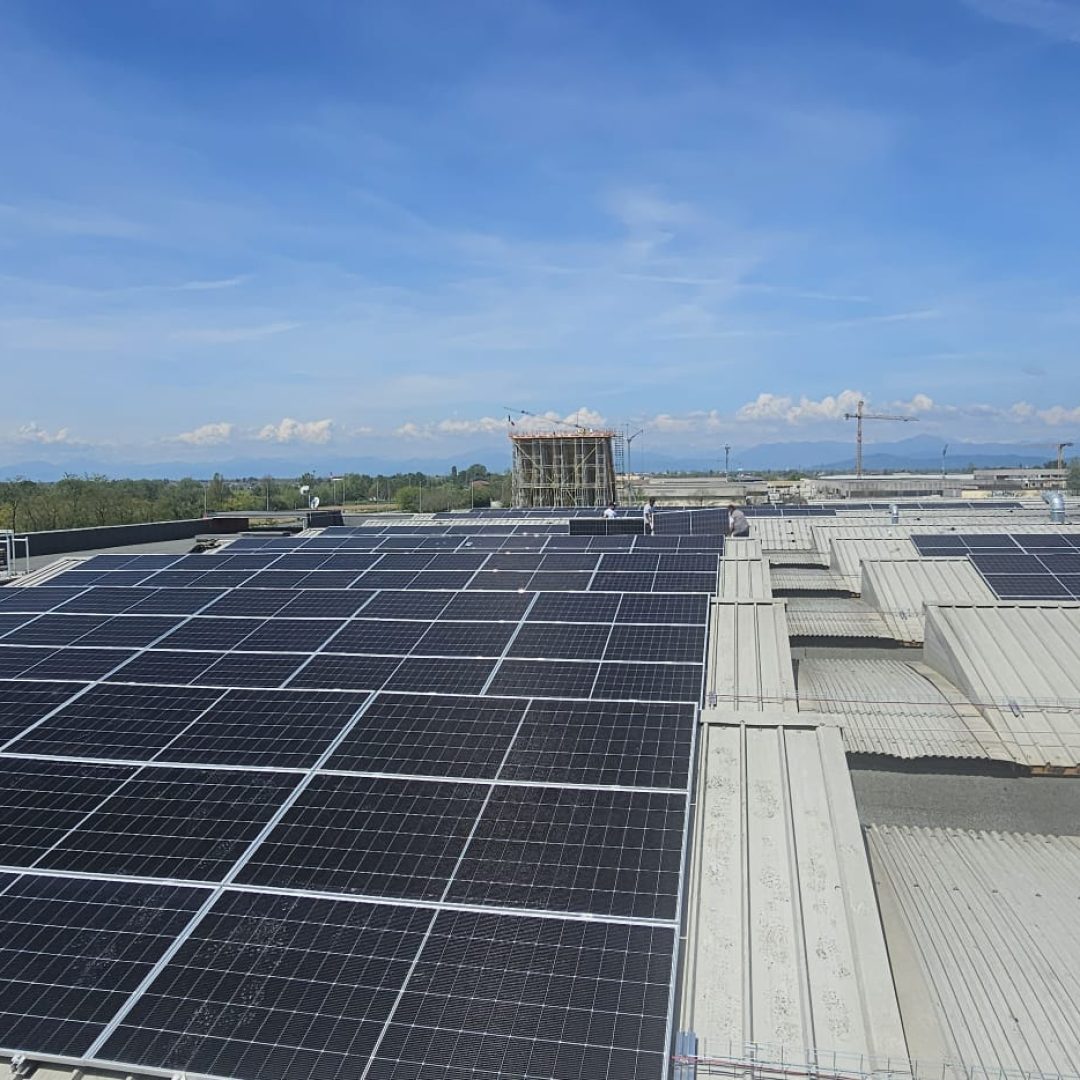 WhatsApp Image 2025-07-22 at 11.02.47