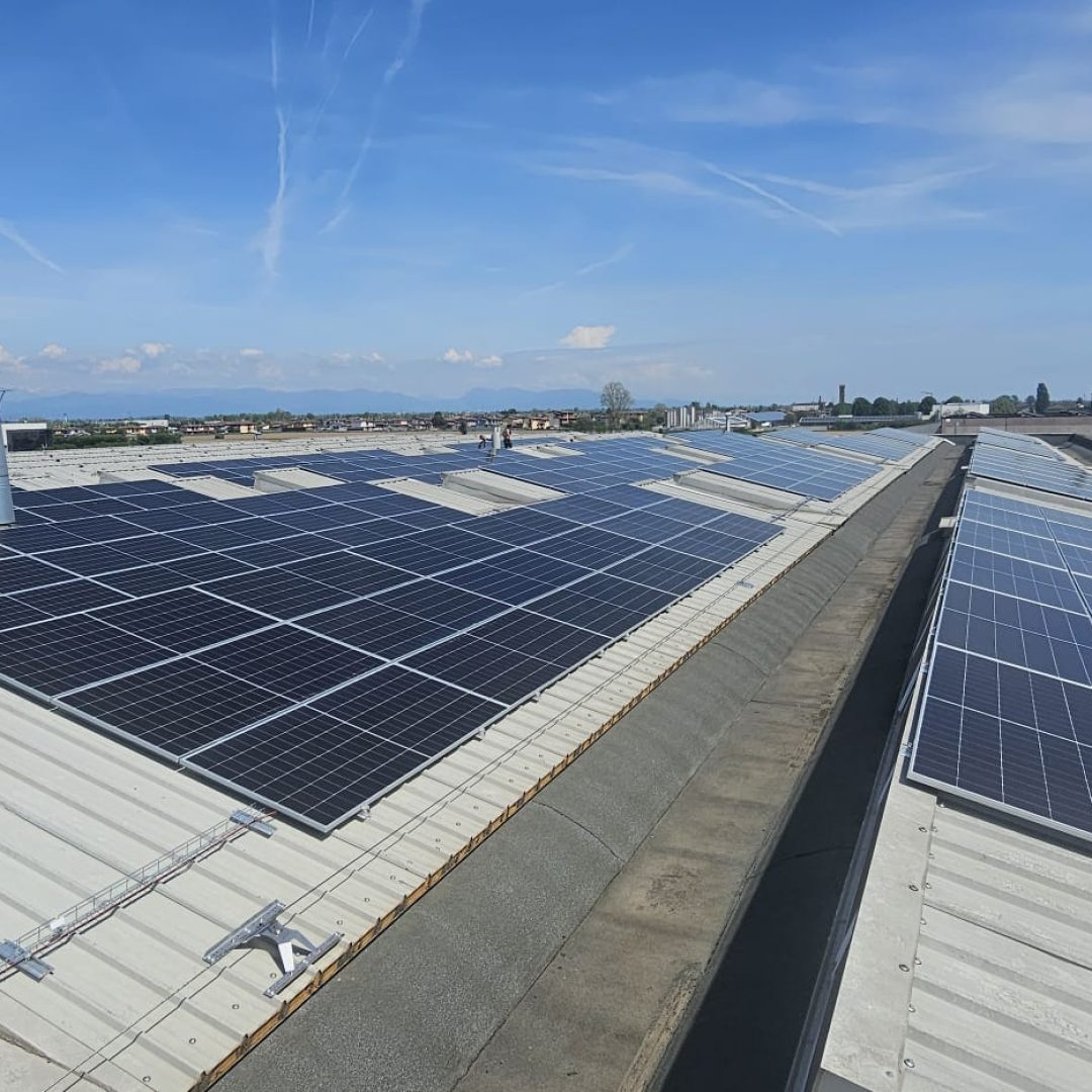 WhatsApp Image 2025-07-22 at 11.02.47