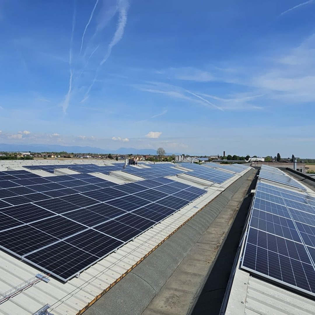 WhatsApp Image 2025-07-22 at 11.02.48